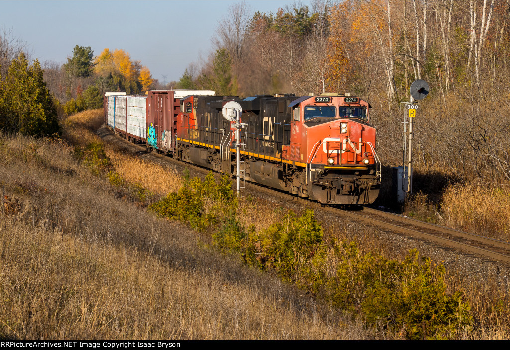 CN 2274